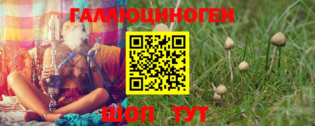 Псилоцибиновые грибы Cubensis  Галлюциногенные грибы Psilocybe  Вход с VPN  Алапаевск 